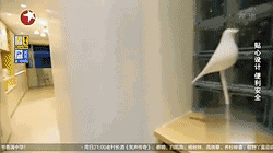 孩子欲退學回家照顧失明父親，智能科技送溫暖.gif